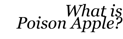 What is Poison Apple?